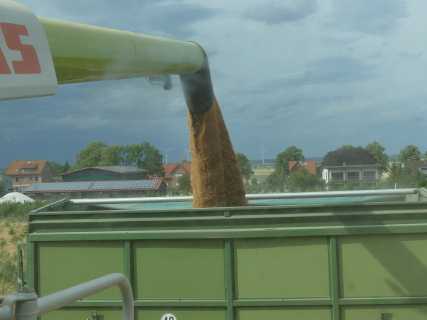 Uppen