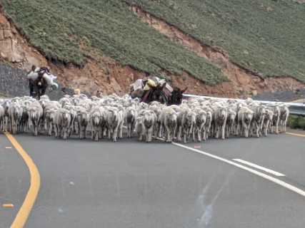 Lesotho