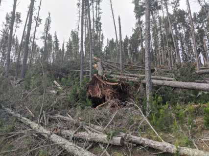 Botmaskop Storm Damage
